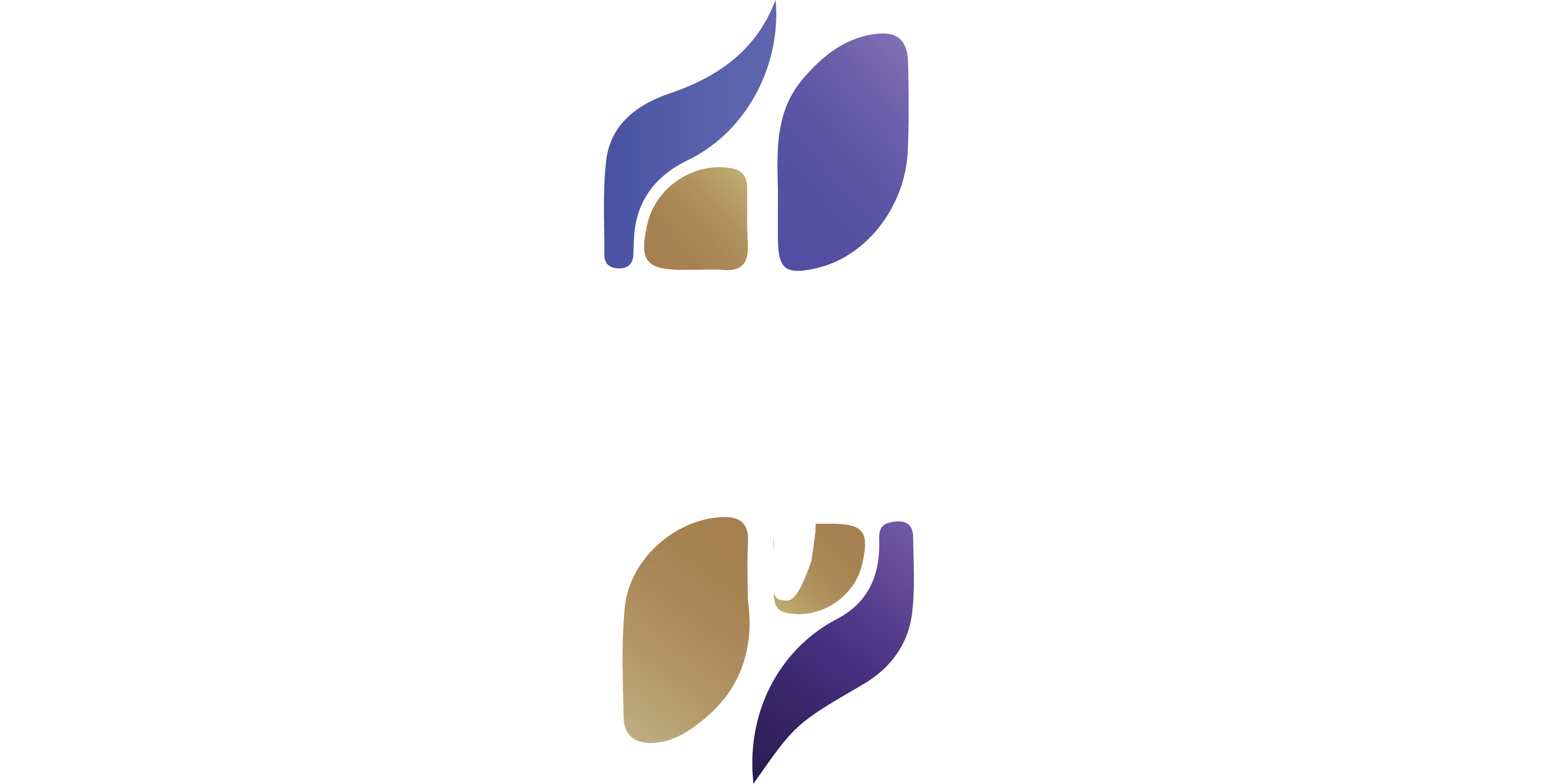 Logo SynapsTIC